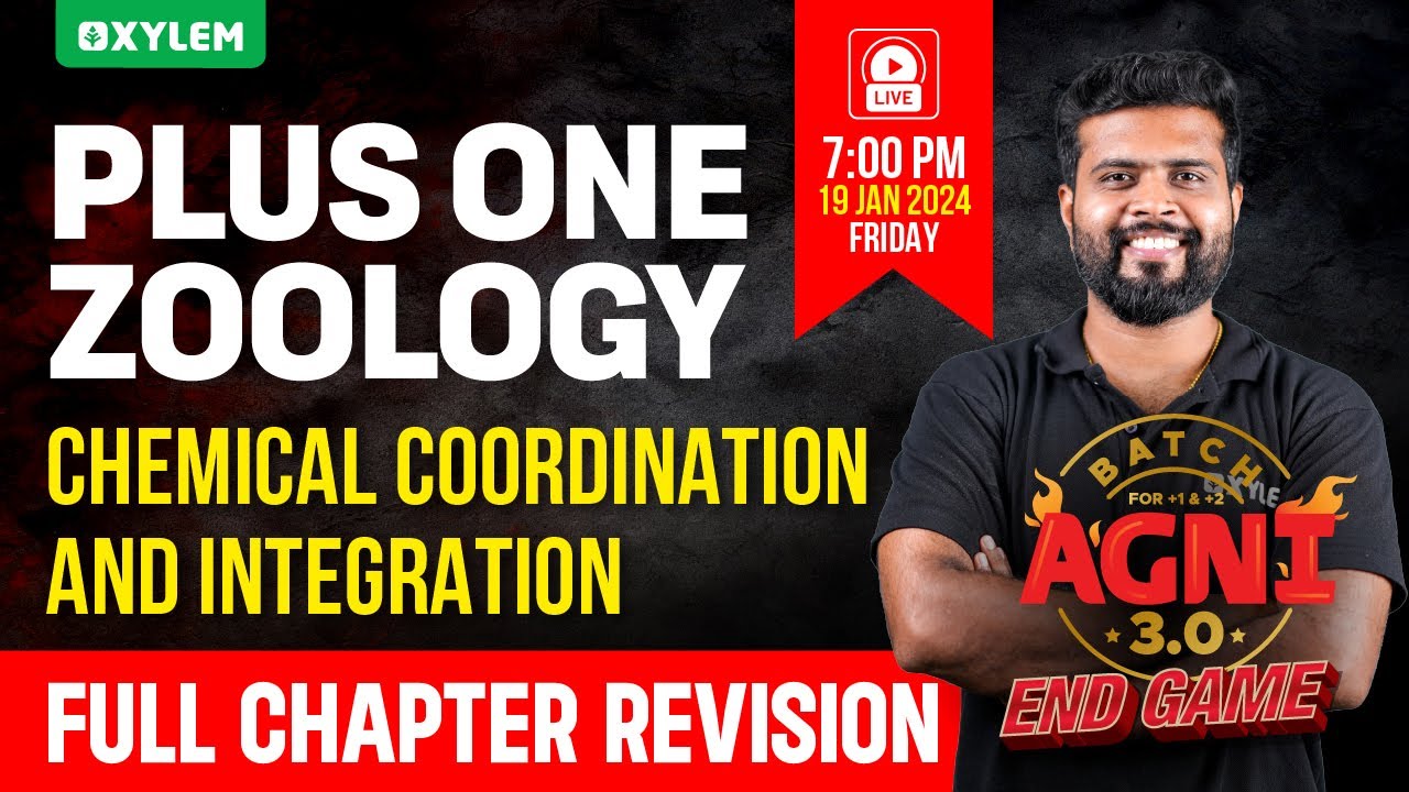 Plus One Zoology - Chemical Coordination and Integration | Xylem Plus One