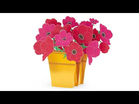Holiday Anemones Pop-Up Cards - Set of 8