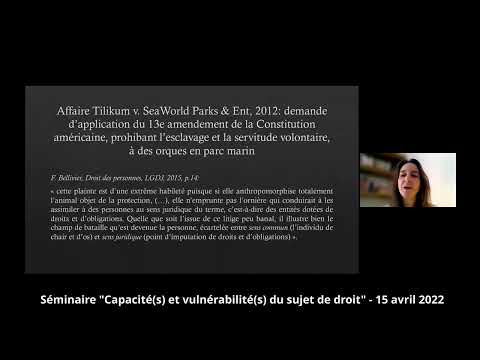 Qu'est-ce qu'une personne juridique et qu'est-ce qu'un sujet de droits par S. Desmoulin Canselier