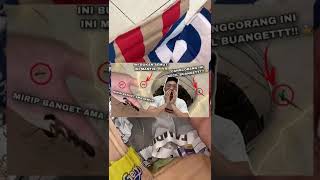 Download lagu BUY THE WORLD'S SMALLEST PRAYING MANTIS?! ASIAN ANT MANTIS! mp3 Download lagu BUY THE WORLD'S SMALLEST PRAYING MANTIS?! ASIAN ANT MANTIS! mp3