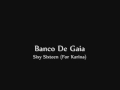 Banco De Gaia - Sixty Sixteen (for Karina)