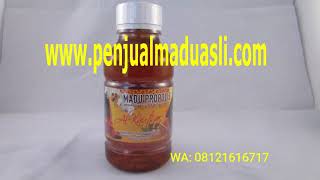 Download lagu Jual Madu Nusantara Terlaris Hubungi WA 08121616717 mp3