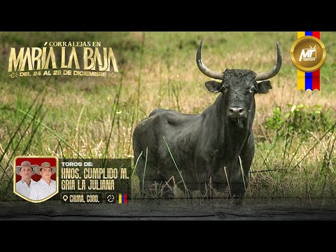 María La Baja Bolívar 2025 | Visita A La Ganadería La Juliana De Hermanos Cumplido Mendoza