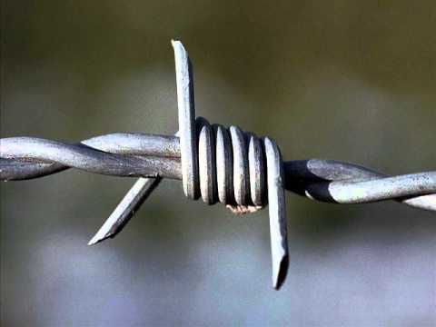 MORF & PANIKA - JA ĆU DOĆI