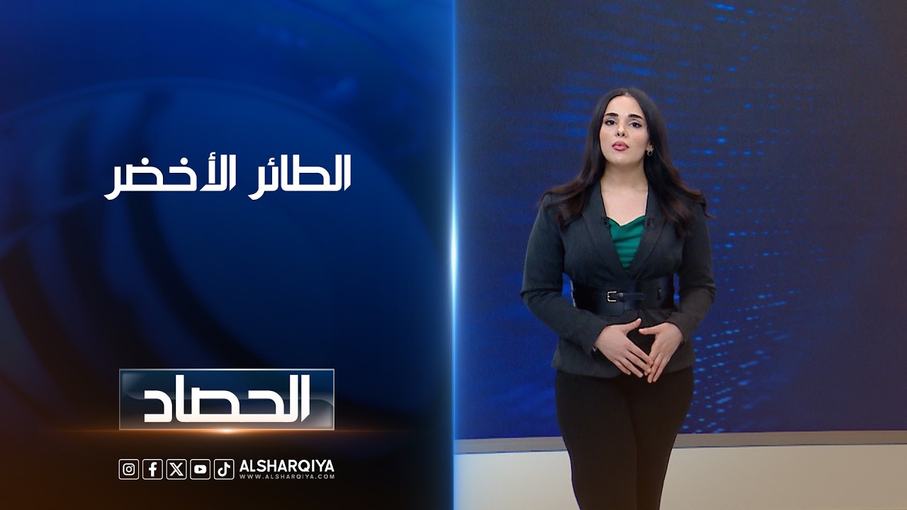 فيديو | الطائر الأخضر | اية الجوخجي