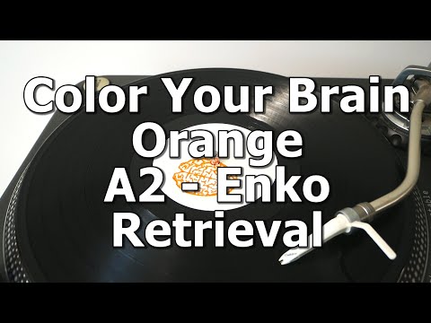 Color Your Brain Orange - A2 - Enko - Retrieval