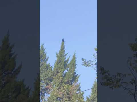 heute morgen 7 Uhr flog der kleine endlich mit seine Eltern er ist befreit und alle glücklich 🙏🥰🥰🥰🥰