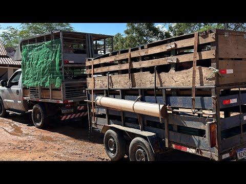 CONSEGUIMOS FINALIZAR A ROTA DO CE / RN / PB e PI , colocando a SUINOCULTURA EM MOVIMENTO 