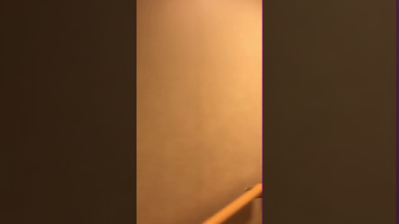Oasis of the Seas - Cabin 11435 - Video 2