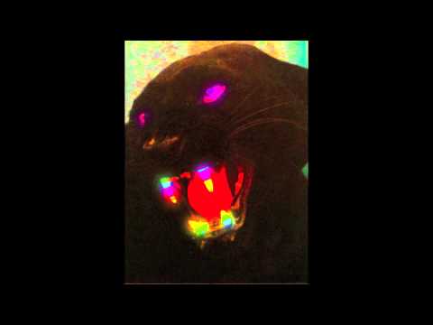 קולומבוס על גרוב ישראלי עכשווי…