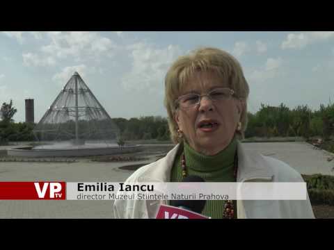 Fântână arteziană unică în țară
