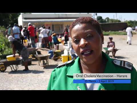 Oral Cholera Vaccination Campaign in Zimbabwe