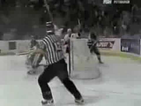 2007-2008 Pittsburgh Penguins