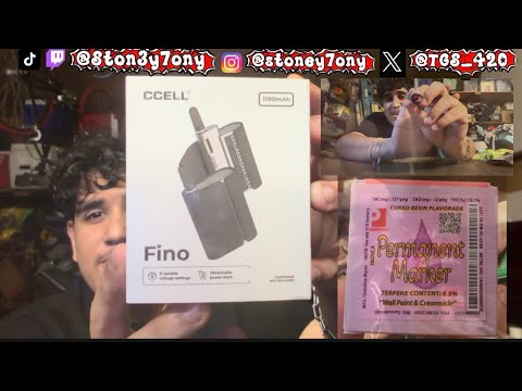 Is the CCELL Fino still worth it in 2026?