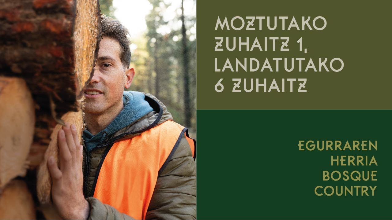 Egurraren Herria / Alexander Olmos Gil / Balmaseda