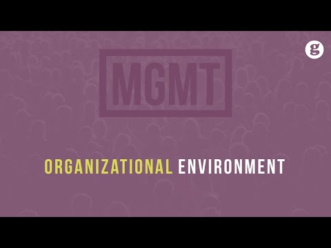 Organizational Environment