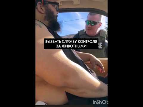 очень смешно..... кошку в приют 🤣🤣🤣🤣🤣