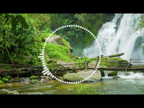 Flöjtinspelning Blockflöjt 9Juni