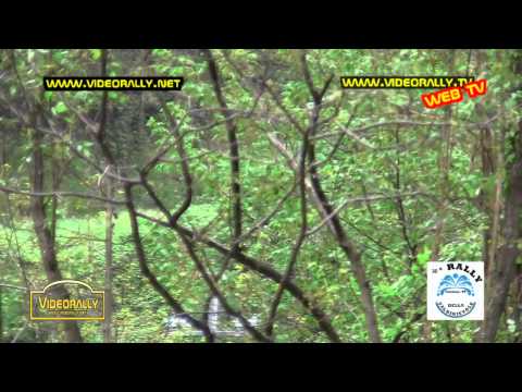 30° Rally Valdinievole anteprima Videorally