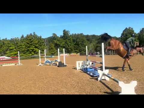 Jameson video 4