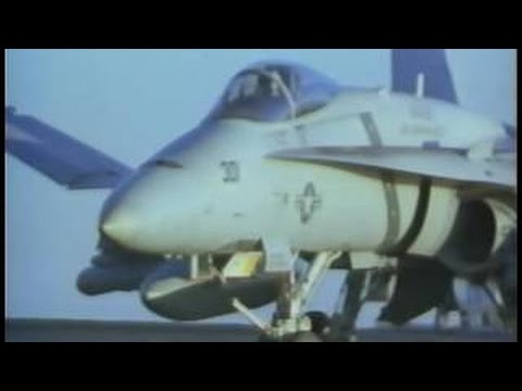 Sea Wings Collection - Hornet The Killer Bee