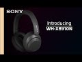 Sony  WHXB910NL.CE7