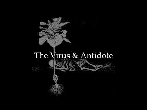 The Virus & Antidote - ''IWonderWhoTookMyPlaceThisTime'' (sub. español)