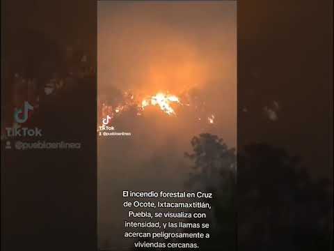 El incendio forestal en Cruz de Ocote, Ixtacamaxtitlán, Puebla, se visualiza intenso cerca de casas