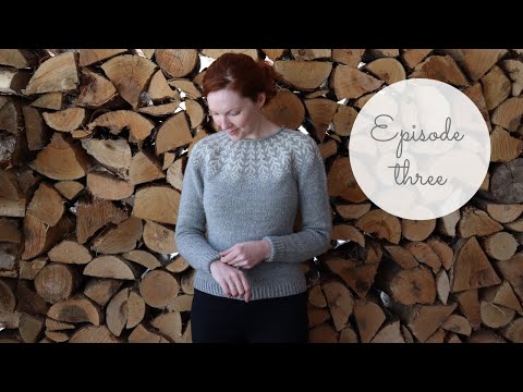 Flossi Podcast: Episode 3