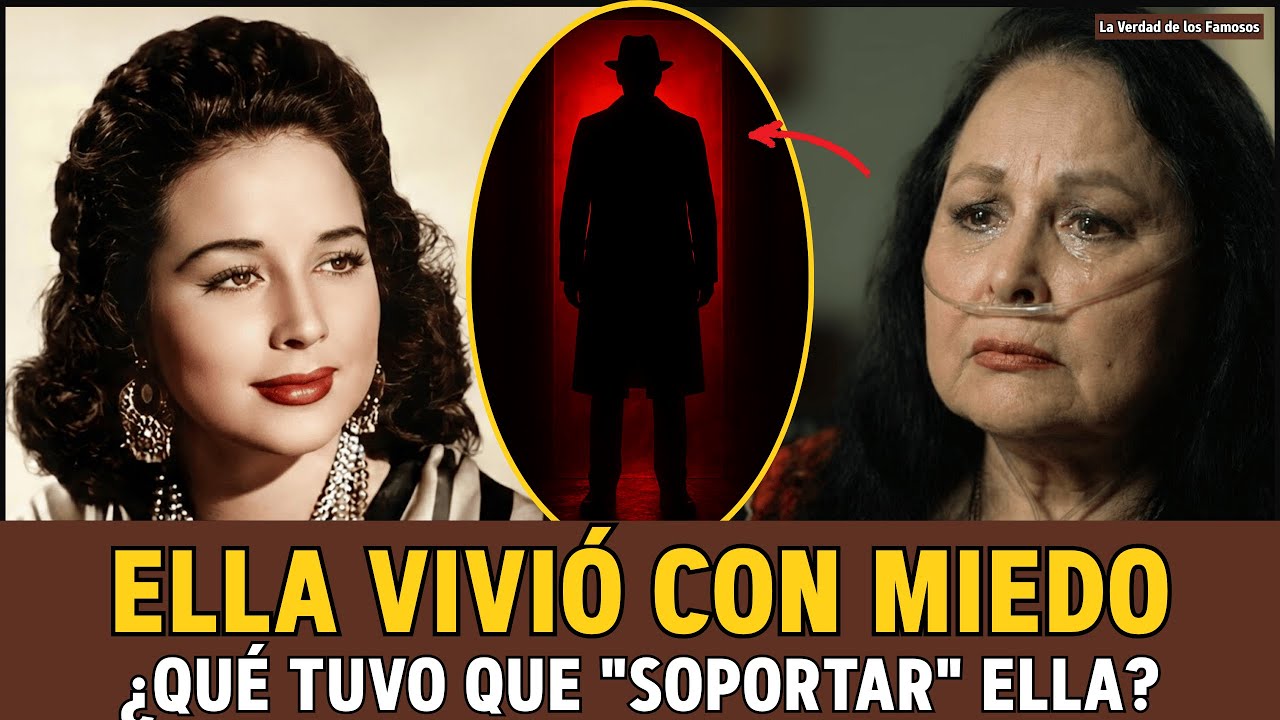 YouTube Thumbnail Downloader FULL HQ IMAGE