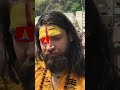 Mahashivratri Mere Ghar Ram Aye Hai Mahadev Mahashivratri Short Shorts Viral Trending