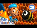 Honey Blippi Wonders Preschool Learning Moonbug Tiny TV