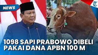 1098 Ekor Sapi Kurban dari Presiden Prabowo Dibeli dari Dana APBN Sebesar Rp100 Miliar
