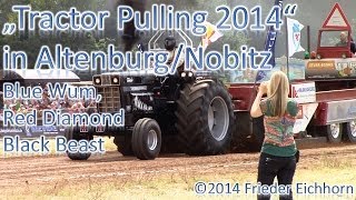 preview picture of video 'Tractor Pulling 2014, Blue Wum, Red Diamond & Black Beast, nur noch PS'