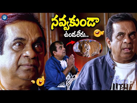 Brahmanandam Hilarious Comedy Video | Brahmi Comedy From Action 3D | iDreamTv