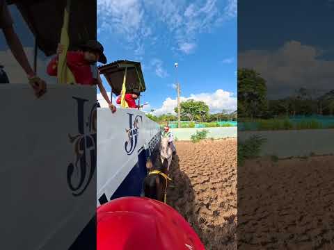 #coleo #saravena #arauca #coleo #viralshort #videoviral #viral