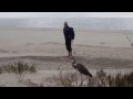Take Your Heron To Work Day
