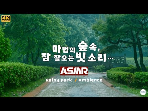 Magical forest, sound of rain falling asleep, concentration, sleep induction, emotional healing,ASMR