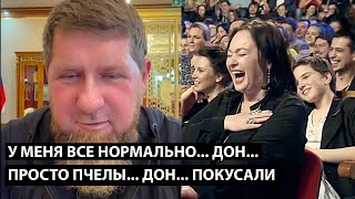 Download lagu I'm fine, Don... I JUST GOT BITTEN BY THE BEES, DON... mp3 Download lagu I'm fine, Don... I JUST GOT BITTEN BY THE BEES, DON... mp3