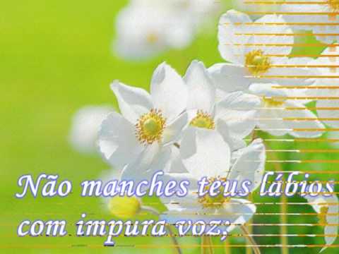 Em Jesus tens a Palma da Vitória - 75 - Harpa Cristã