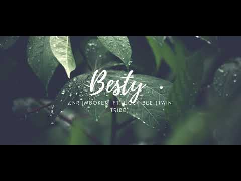 Besty (2020) Jnr Imbokeri ft. Ugly Bee & Twin Tribe