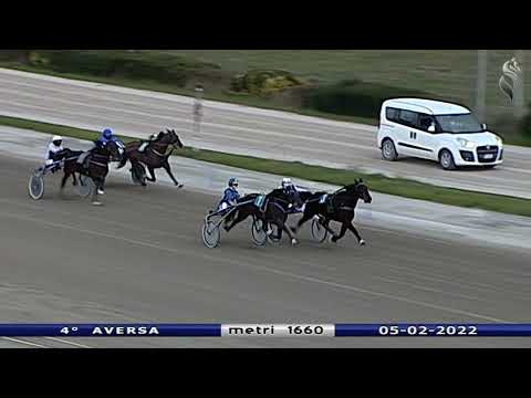 Aversa trotto 5 Febbraio 2022 - 4° Corsa