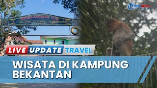Rekreasi Gratis di Kampung Wisata Bekantan, Bisa Memancing hingga Bermain Wahana Anak