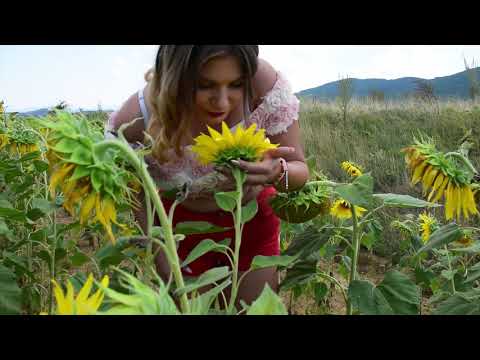 ГЕРИНСКИ - СОЛО