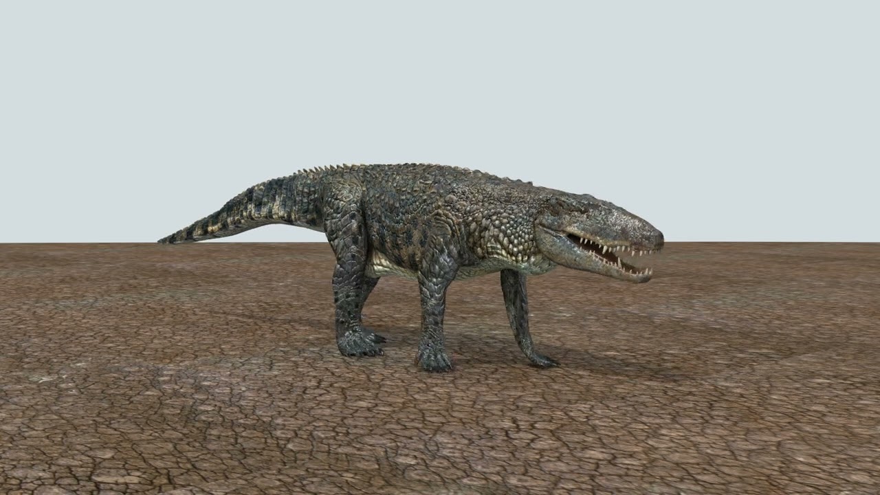 Postosuchus Barinasuchus Fasolasuchus HD - animato in 3D Modello 3D