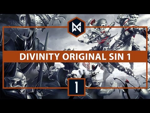 Divinity: Original Sin [BLIND] | Ep 1 | The start of a new adventure | Let’s Play CO-OP
