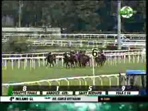 25/05/2014, Milano , Premio Carlo Vittadini