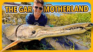 We Caught GIANT fish in a Small City Canal