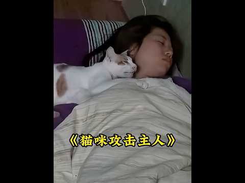 猫咪无缘无故攻击主人，女孩总是包容和理解它，最终帮它走出困境 #animals #cute #猫咪  #cat