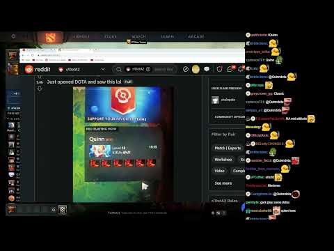 Quinn Enters Gorgc's Chat Confirms He is damaged by NA pubs